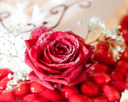 Betti_und_Ralf_023